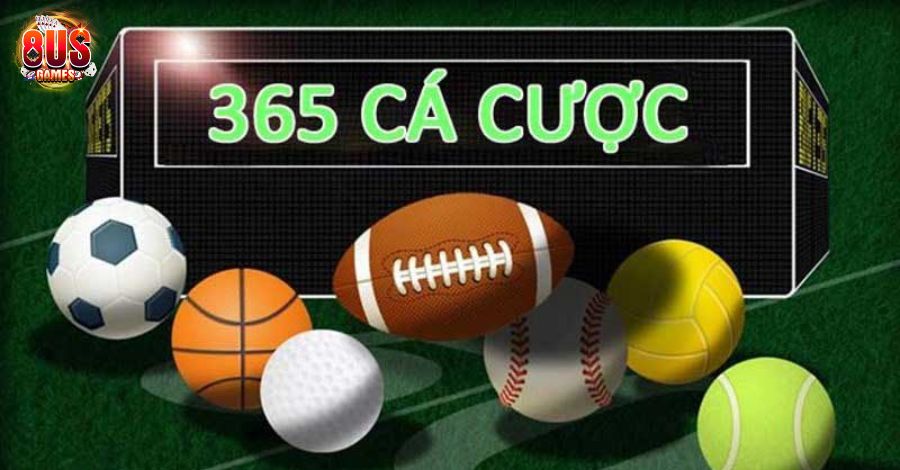 365 cá cược và những điều thú vị đằng sau nhà cái 365 5 8US.VN Tổng quan về 365 cá cược